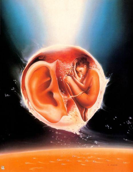 . : Wojtek Siudmak. : "Foetus Metaphysique". : imageserver.ru