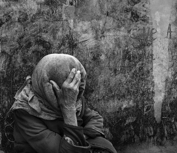 . : ANZOR (). : "new spring". : http://www.photosight.ru/photos/3095399/