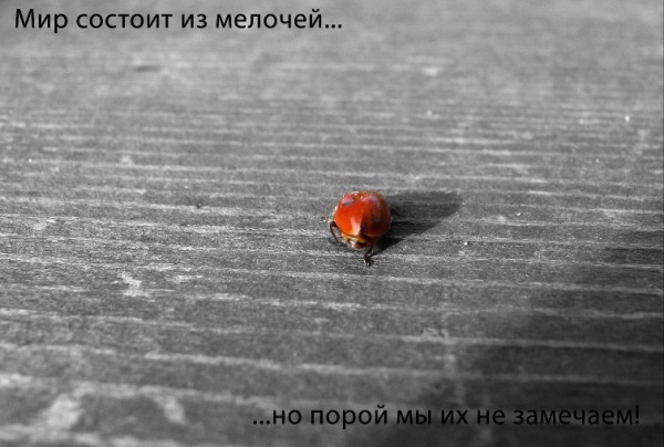 Иллюстрация. Автор: Orange-t. Название: "Мелочи". Источник: http://www.photosight.ru/photos/2903060/