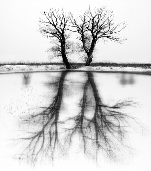 . : "We are Drawing Our Own Reality". : Valeri Simov. : http://www.photosight.ru/photos/4082598/