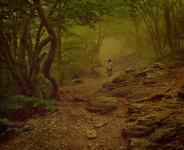 Иллюстрация. Название: "Тропинками загадочного леса". Автор: Andrew Mayovskyy. Источник: http://www.photosight.ru/photos/3828071/