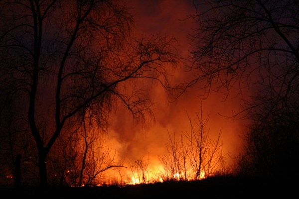 Иллюстрация. Название: "Про лесные пожары". Автор: Сергей Мусницкий. Источник: http://www.photosight.ru/photos/3247729/