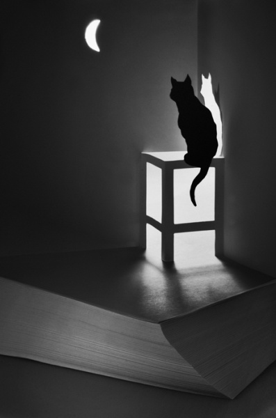 Иллюстрация. Название: "Черный кот". Автор: Дмитрий Войнов. Источник: http://www.photosight.ru/photos/4466745/