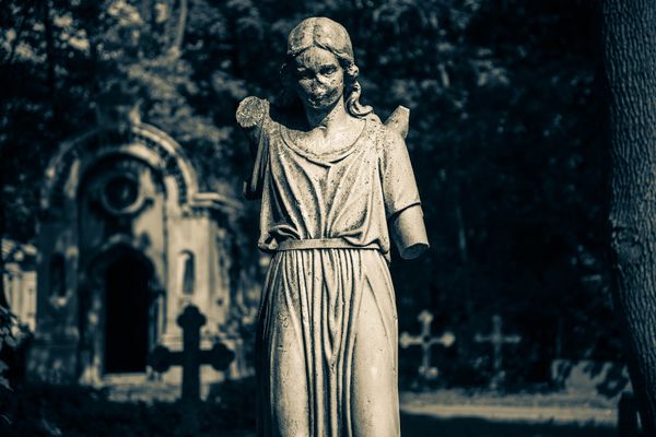 . : «». : © JulyArt. : http://www.photosight.ru/photos/5195035/