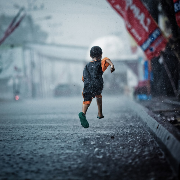 . :  . : «». : https://www.flickr.com/people/rifatattamimi/