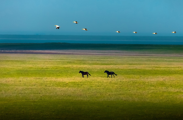 . : Ը . : «». : https://35photo.pro/photo_10653625/