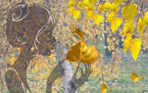 . :  . :  . : https://vk.com/wall-49467523_241534