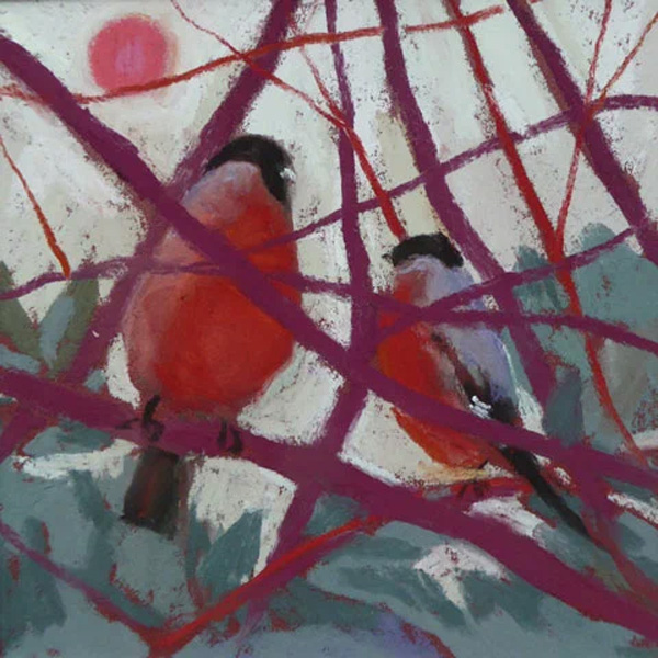 Sue Campion. .  