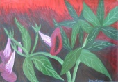 Flowers2,  1998   Oil on canvas, 9770 cm