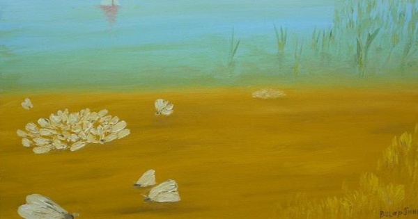 Butterflies, 2008  il on canvas, 2849 cm