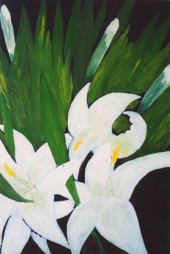 Lilies, 1997  il on canvas, 5070 cm